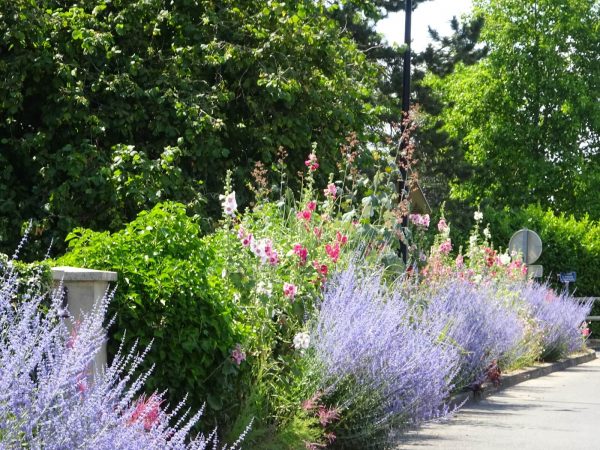 Villes et Villages fleuris