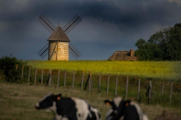 Détail moulin Privé : M’engager dans l’écoresponsabilité