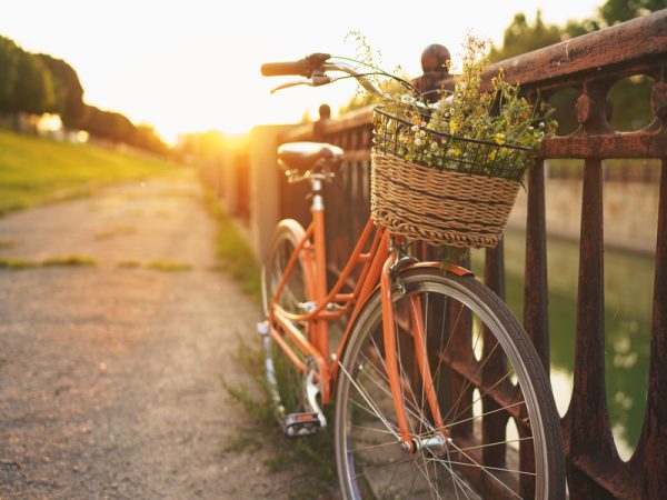 Beautiful bicycle with flowers in a basket stands on the street Labellisation Accueil Vélo