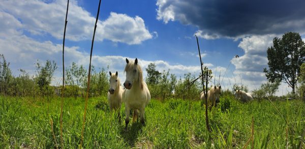 « Bienvenue dans l’Eure »