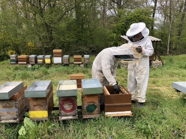 Portrait d’un apiculteur