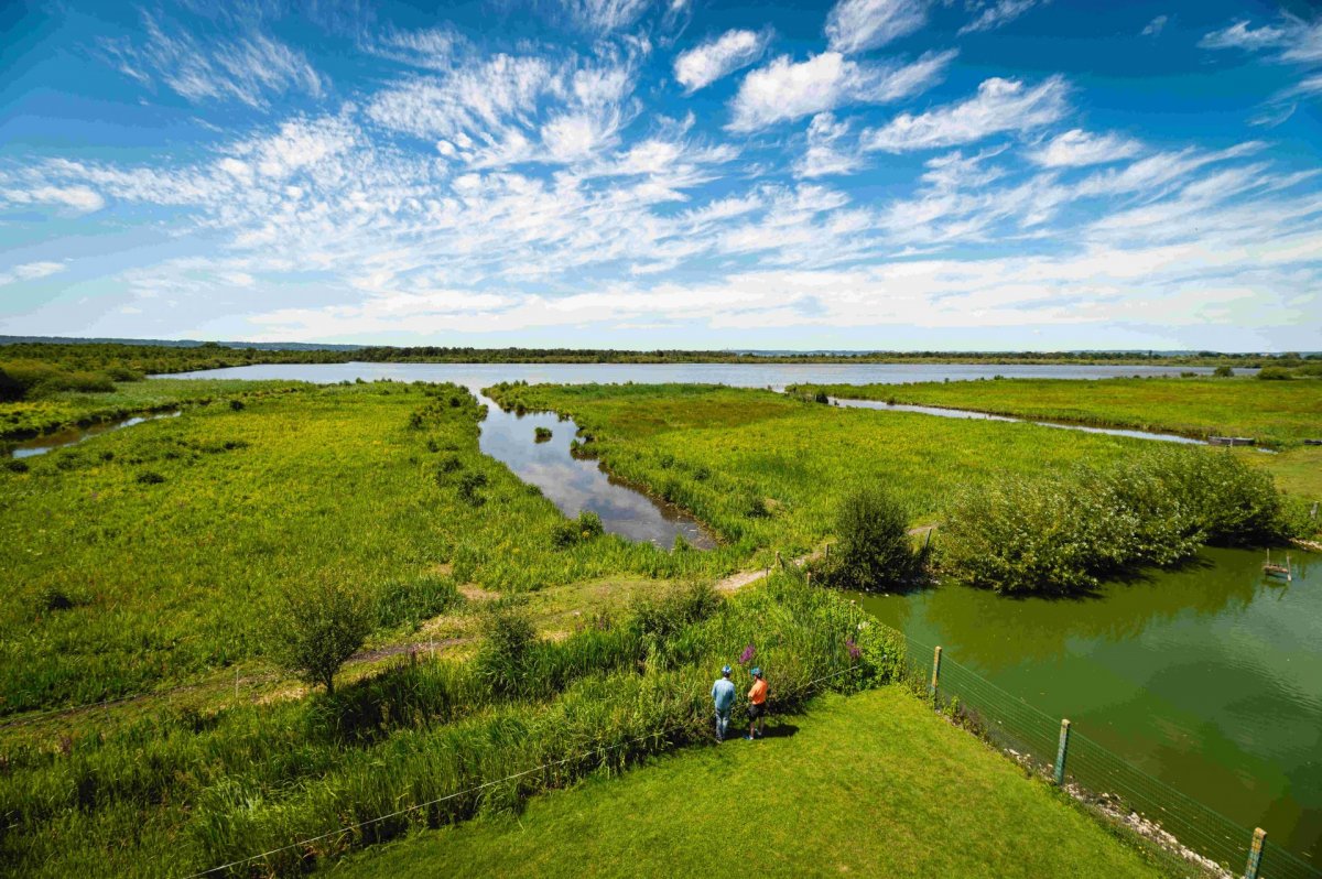 Réserve naturelle - Département de l'Eure A. Papa