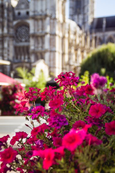 Villes et Villages Fleuris