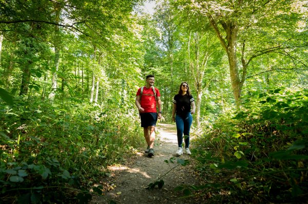 Plan Départemental des Itinéraires de Promenade et de Randonnée